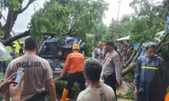 Hujan Angin di Batang, Sejumlah Pohon Tumbang Timpa Mobil dan Warung