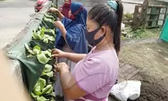 PT PII Beri Pelatihan Urban Farming 118 KK Kelurahan Bambankerep