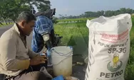 Pupuk Langka, Ini Penjelasan Petrokimia