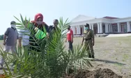 Komplek Grha Megawati Klaten Dihiasi 48 Pohon Kurma