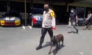 Tingkatkan Keamanan, Mapolres Batang Dijaga K-9 Deteksi Bahan Peledak