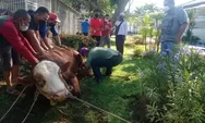 Wabup Kendal Tak Ingin Muncul Klaster Covid-19 saat Perayaan Iduladha