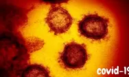 Tandai Gejala Ini Untuk Menghindari Wabah Virus Corona