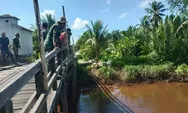 Pentingnya Fungsi Jembatan di Kecamatan Pulau Hanaut