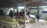 Durian Parung Mulai Langka