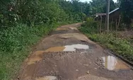 Akses Jalan Utama Desa Tanjung Kupang Rusak Parah, Banyak Jalan Berlubang