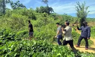 5 TKA Ditangkap di Area Tambang Sukabumi, Bercaping dan Sembunyi di Semak