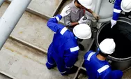 Lowongan Kerja BUMN di PT Sucofindo, Ini Persyaratannya!