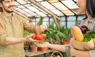Tips Memulai Bisnis Pertanian bagi Pemula 