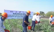 Kementerian BUMN Dorong Perum Perhutani dalam Produksi Gula Nasional