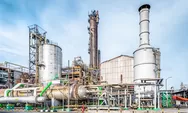 Lowongan Magang BUMN PT Petrokimia Gresik, Fresh Graduate Bisa Melamar, Deadline 18 Juli 2023