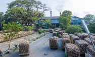Berkat Transformasi di Segala Aspek, PTPN X Berhasil Tingkatkan Produktivitas Tebu dan Penjualan Tembakau