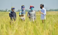 Jokowi: Sudah Diputuskan Sampai Juni Tak Ada Impor Beras