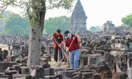 Peringati Hari Purbakala, Masyarakat Bersih-bersih Candi Prambanan