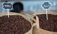 Harga Kopi Menguat, Robusta Pimpin Lonjakan di Pasar Global