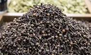 Terungkap, Belasan Ton Cengkeh Ekspor Indonesia Terkontaminasi Cesium-137