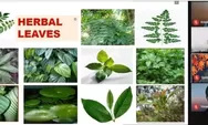 Kelompok 30 KKN Unika Soegijapranata Gelar Webinar Bahas Jamu dan Produk Herbal