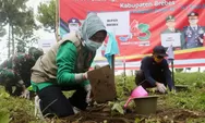 Tanam Sejuta Pohon Kopi Untuk Menjaga Hutan dan Masyarakat