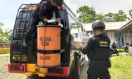 Jibom Gegana Satuan Brimob Polda DIY Musnahkan 11 Kilogram Obat Mercon
