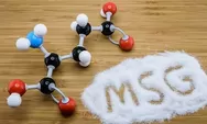 BPOM Akui MSG Tak Berbahaya, Berbahan Dasar Tetes Tebu