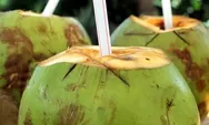 Jangan Berlebihan Minum Air Kelapa, Ini 6 Bahayanya