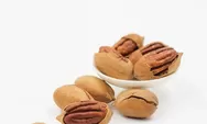 Pernah Makan Kacang Kenari? Simak, Ini 5 Manfaatnya untuk Kesehatan