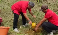Bulan Bung Karno, PDI Perjuangan Kabupaten Tasikmalaya Tanami Kawasan Pangangonan