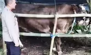 Si Abdul Dikurbankan Di Hari Minggu