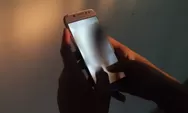 Amoral, Oknum Guru SDN Ciamis Sebarkan Video Panas