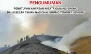 Pengunjung Prewedding Nyalakan Flare, Bukit Teletubbies Kebakaran, Kawasan Wisata Gunung Bromo Kini Ditutup