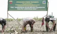 Inalum dan Kodim 0208/Asahan Bersama Poktan Cinta Mangrov Berkolaborasi Lakukan Ini di Pesisir Batubara 