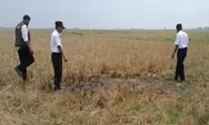 Lapor Pak Pj Bupati Bekasi!! Petani Bingung Nih, Lahan Sawah di Desa Pantai Hurip Kekeringan