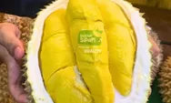 3 Tempat Makan Durian di Depok Harga Mulai 17 Rbuan Makan Sepuasnya