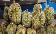 3 Tempat Makan Durian di Sukabumi Harga Mulai 10 Ribuan Saja!