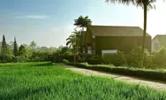 Villa Estetik Pinggir Sawah di Bogor Gratis Suki dan Grill Bikin Staycation Berkesan!