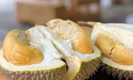 3 Tempat Makan Durian di Cianjur, Daging Tebal Rasa Mantap Cek Lokasinya