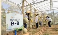 Kembangkan Urban Farming di Lahan Sempit, BRI Peduli Inspirasi Bertani di Kota BRInita