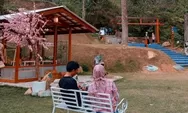 30 Menit dari Pusat Kota Bogor, Wisata di Perbukitan Ini Miliki Vibes ala Jepang