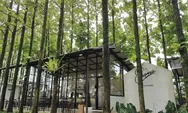 Tempat Ngopi di Bogor Nuansa Alam, Hidden Gem Cafe Ini, Cuma 10 Menit dari IPB