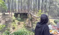 Warung Kopi Gunung, Cafe di Bandung dengan Jembatan Gantung dan Pesona Alam