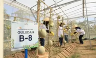  BRI Peduli Inspirasi Bertani di Kota: Urban Farming, Menjawab Tantangan Lahan Sempit