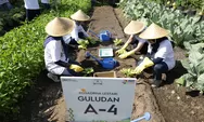  BRI Peduli Urban Farming: Lahan Sempit, Bukan Halangan untuk Berswasembada Pangan