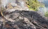 Taman Nasional Gunung Salak Kebakaran, Segini Luas Hutan Yang Terbakar 
