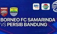 Jadwal Indosiar Hari Ini 21 Oktober 2023: Borneo FC Samarinda vs Persib Bandung, Heroes, Magic 5, Vanguard