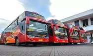 Sugeng Rahayu 7572 Milik Siapa? Bus yang Kecelakaan Akibat Bertabrakan di Ngawi hingga Sebabkan Tiga Tewas