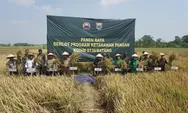 Hasil Panen Melimpah, Komandan Korem 071 Wijayakusama Siap Bagikan Bibit Gratis Varietas Protangguh