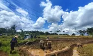 Ini 5 Daerah Terdingin di Kabupaten Semarang, Ada di Ketinggian 1.450 Mdpl, Ternyata Nomor 1 Bukan Bandungan