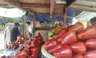 Si Manis Jambu Merah Delima Demak, Oleh-oleh yang Selalu jadi Buruan Wisatawan