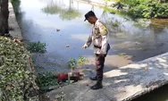 Mengapung di Tengah Kolam Retensi, Mayat Pria Paruh Baya Ditemukan di Kokrosono Semarang