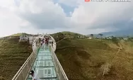 1 Jam dari Solo, Jembatan Kaca Terpanjang di Jawa Tengah jadi Spot Healing Terhits di Atas Kebun Teh
